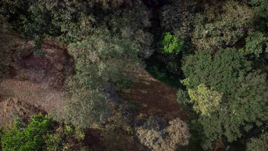 Almendro lot 123 - La Ecovilla