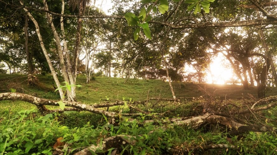 La Ecovilla - Bambú lot 227