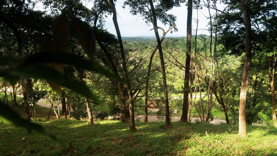 Bambú lot 227 - La Ecovilla