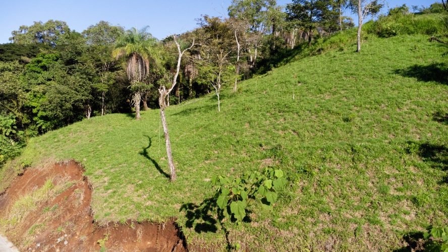 Dalia lot 407 - La Ecovilla