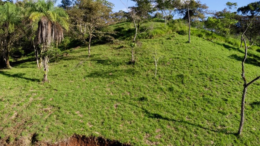 Dalia lot 407 - La Ecovilla