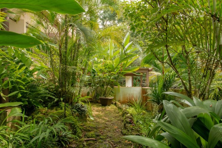 Garden 3 Casa de Rio