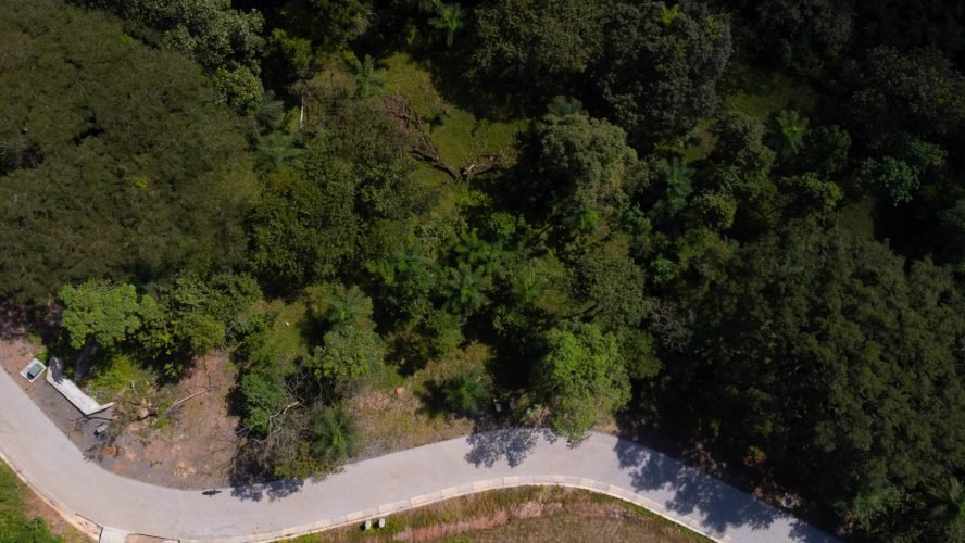 Ceiba lot 332 - La Ecovilla